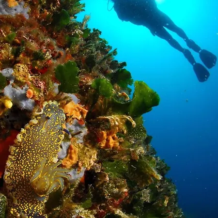 Luxury Zlatni Rat With Pool, Near Zlatni Rat Beach, *