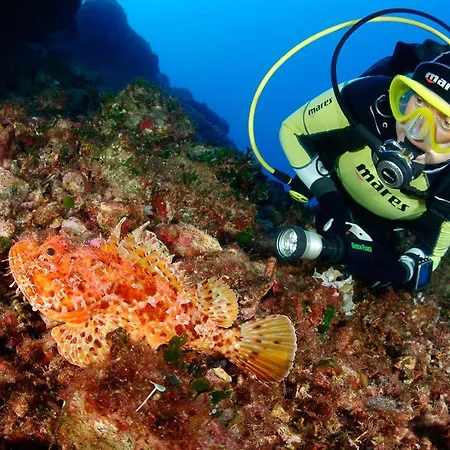 Luxury Zlatni Rat With Pool, Near Zlatni Rat Beach, Villa